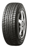 ���� Dunlop GRASPIC DS2