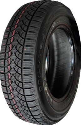 

Зимняя шина 185/70 R14 88S Rosava WQ-103