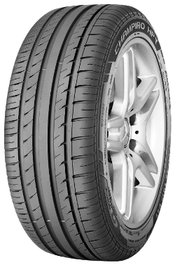 

Летняя шина 245/40 R17 95Y GT Radial Champiro HPY